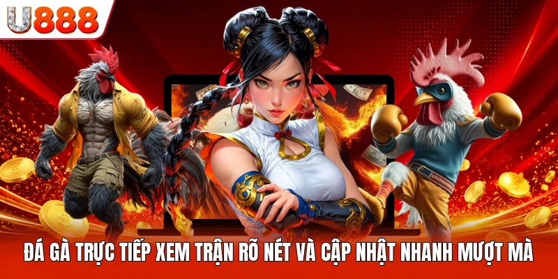Đá Gà Trực Tiếp Xem Trận Rõ Nét Và Cập Nhật Nhanh Mượt Mà