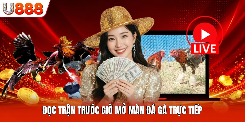 Đọc trận trước giờ mở màn đá gà trực tiếp